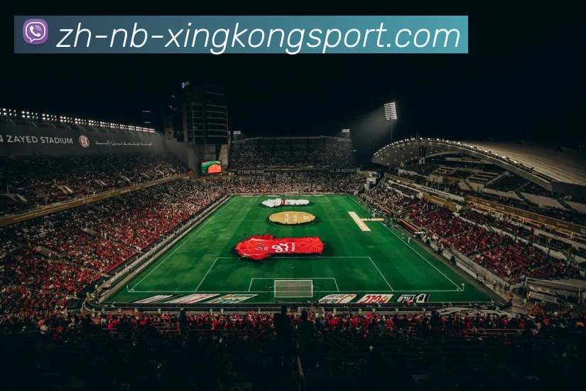 App Interface Preview