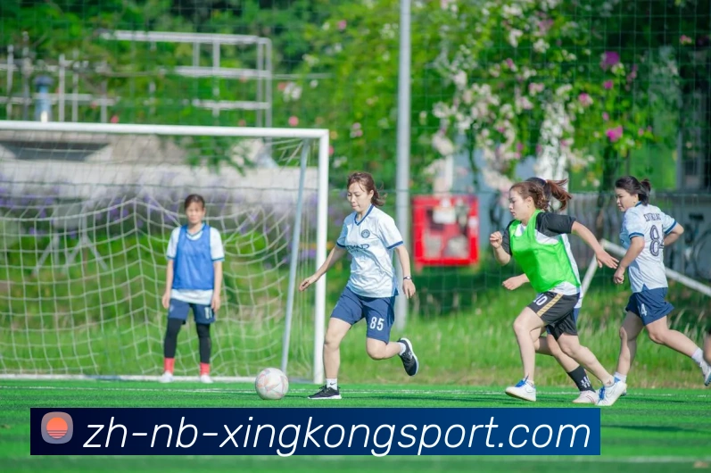 星空体育APP 封面图